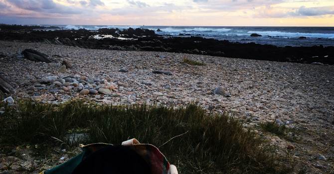 beach at dusk photo