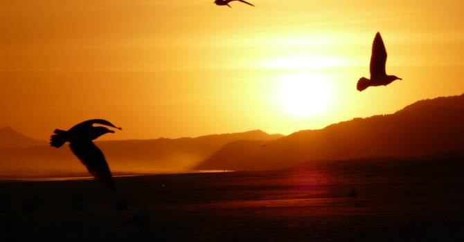 sunset photo